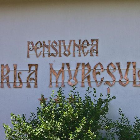 Perla Muresului Alba Iulia Exterior photo